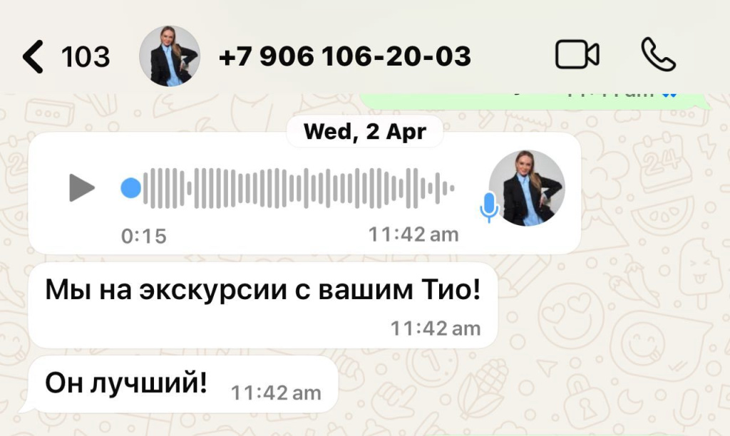 Изображение WhatsApp 2025-04-19 в 07.04.38_a0ed4e61.jpg Изображение WhatsApp 2025-04-19 в 07.04.38_a0ed4e61.jpg